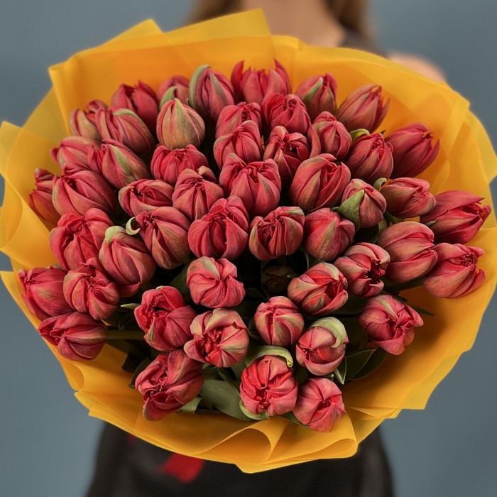 51 красный пионовидный тюльпан  Ред Принц